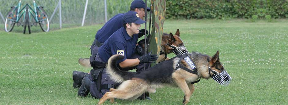 Oprema za policijske pse